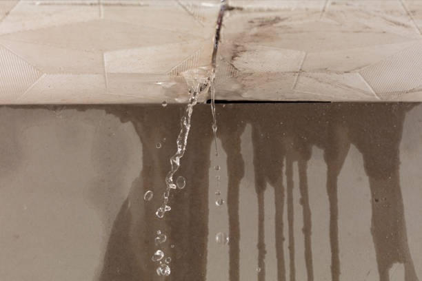 Professional Burst Pipe Cleanup technician working in Odessa, MO